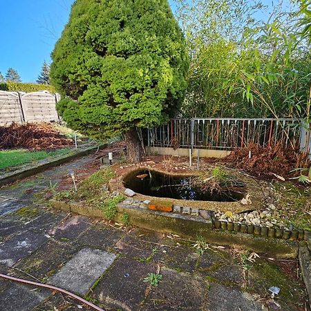 Haus Mit Garten Halle  Exteriér fotografie